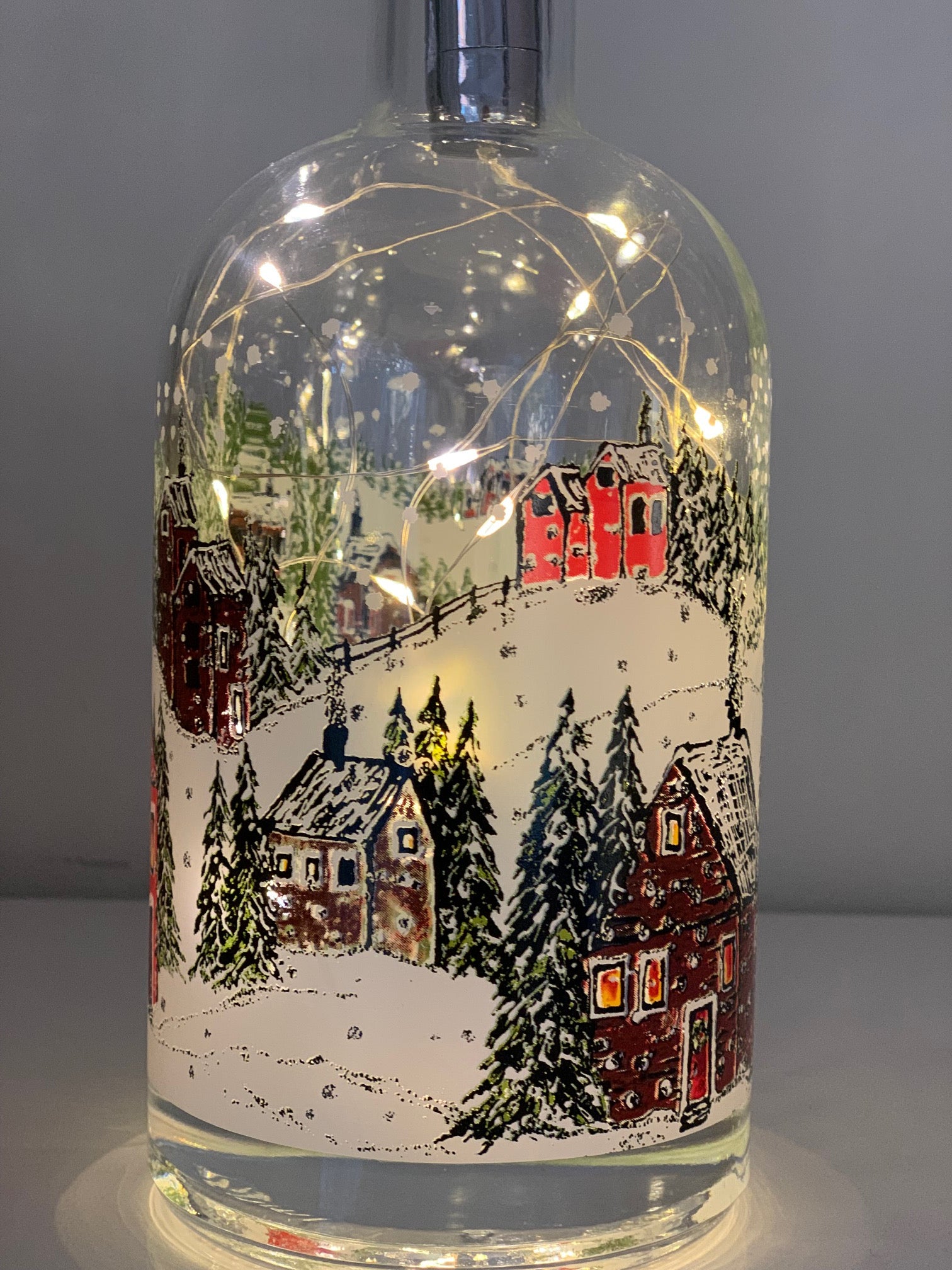Snow Globe Printed Bottle With Fairy Lights – Christie Norman Art
