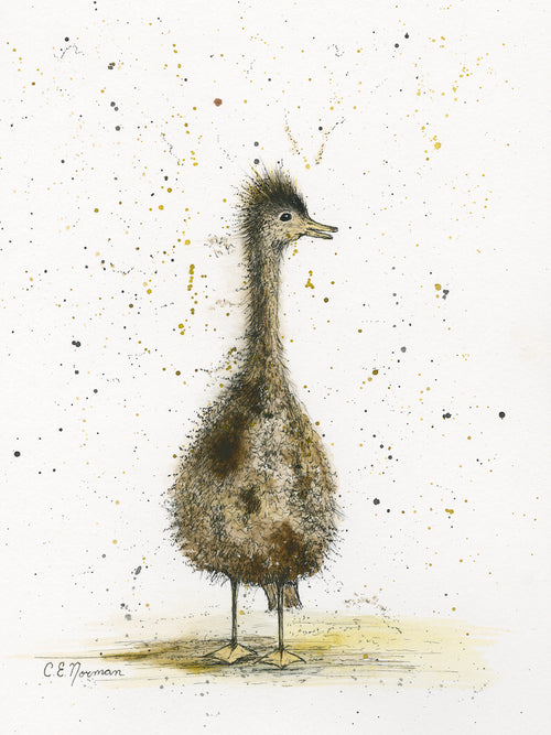 Gozzie is a fuzzy teenaged goose with frazzled down.  Mottled brown colours and beak slightly agap he stares at you with one side of his head. Painted originally by Christie Norman using watercolours and archival ink on canvas.
