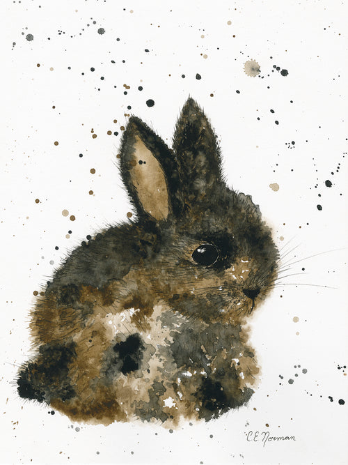 Mottled Bunny is a tiny, cute bunny with black, brown and light spots. Both ears at attention he is wondering if you will be giving him some carrots. Painted originally by Christie Norman using watercolours and archival ink on canvas.