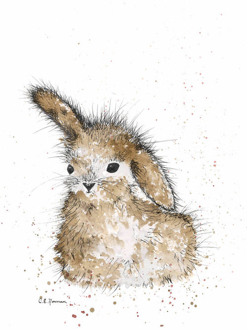A sweet bunny with a raised right ear is trying to listen for something.  Beige with white mottling and coal black eyes, with speckling on a white background.  This print was originally painted by Christie Norman in watercolour and archival ink, on canvas.